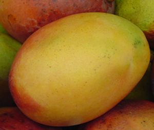 afrykańskie mango sposobem na odchudzanie